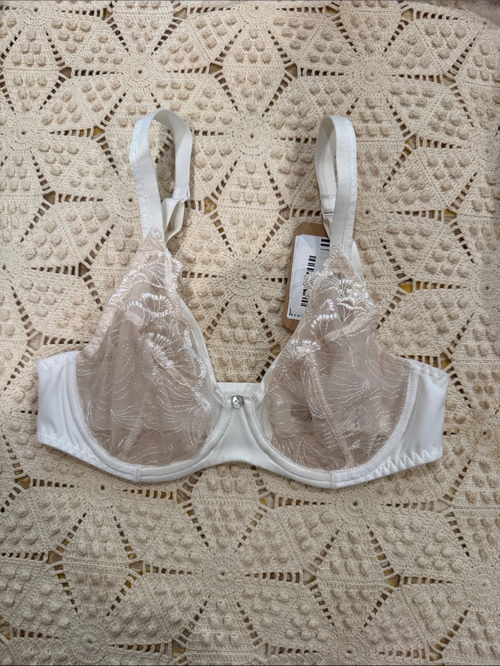 Sheer Embroidered Underwire Bra in Cream